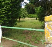 Entr&eacute;e du terrain