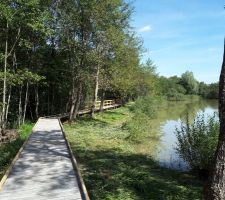 Etang du Breuillez - Doubs