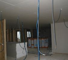 Le plafond est posé.
1er mur porteur habillé.
L'isolation des murs a commencé.