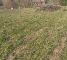 Les diff&eacute;rentes vues du terrain