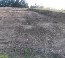 Cr&eacute;ation de l'entr&eacute;e chartiaire