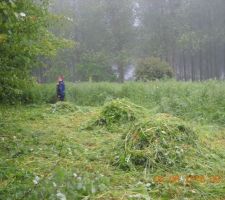 Nettoyage du terrain