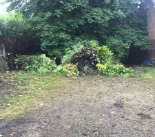 Nettoyage du terrain