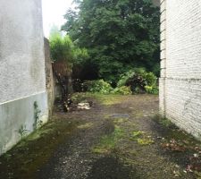 Nettoyage du terrain