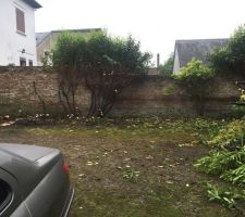 Nettoyage du terrain