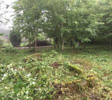 Nettoyage du terrain