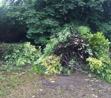 Nettoyage du terrain