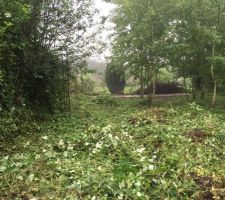 Nettoyage du terrain