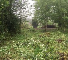 Nettoyage du terrain