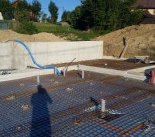 Installation de du treilli 2