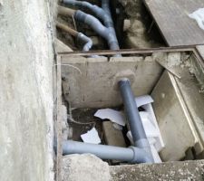 Tout à l'égout