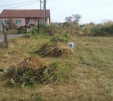 On commence &agrave; d&eacute;gager la fa&ccedil;ade. Au fond, on aper&ccedil;oit la jungle (6m de profondeur).