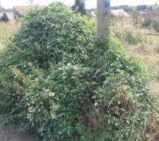 L&agrave; en-dessous, il y a un poteau et un muret ...