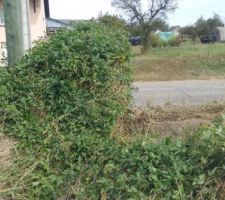 L&agrave; aussi normalement !