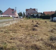 Ah tiens, la jungle n'est plus l&agrave; ! Le mur appara&icirc;t ...