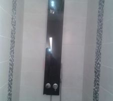 Installation de la colonne de douche