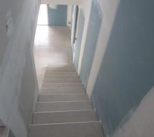 Carrelage escalier d un seul tenant sans joint
