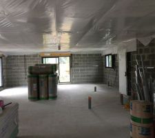 Pose de la membrane d'étanchéité du plafond .