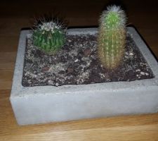 DIY - Pot béton - Suite et fin :)