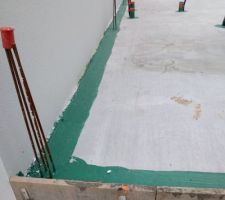 Peinture anti-termites