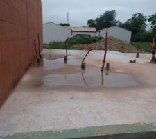 Prêts pour lancer un élevage de canards !