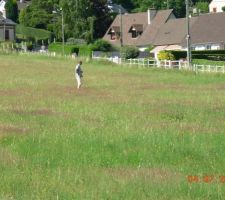 Photo de la future parcelle;c'est moi au loin sur la photo