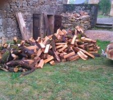 1er remorque de bois