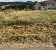 Vue du terrain en friche