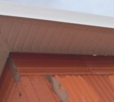 Cache moineaux PVC