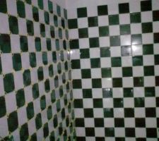 Damier pos&eacute; dans les toilettes