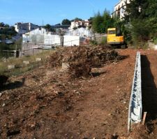 Tas de branchage a deplacer