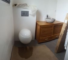 Salle d'eau parentale : partie WC + meuble vasque 110 cm en teck.