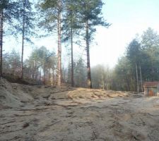 Terrain