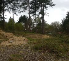 Terrain