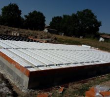 Vide sanitaire en cours