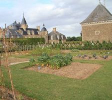 Fête des plantes et de la gastronomie à la Bourbansais (le potager du château)