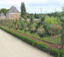 Fête des plantes et de la gastronomie à la Bourbansais (le potager du château)