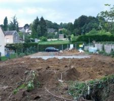 Dalle fini