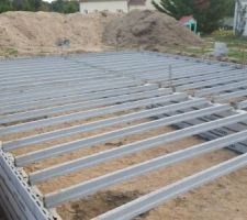 Bon aller, c'est reparti pour le vide sanitaire. Ça fait plaisir de voir que ça prend forme :) vivement la suite :)