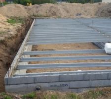 Bon aller, c'est reparti pour le vide sanitaire. Ça fait plaisir de voir que ça prend forme :) vivement la suite :)