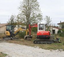 Les squatteuses sur notre terrain. On a hâte de les voir déménager !