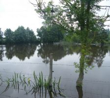 Inondation dans le 45 début Juin 2016. 100m de ma maison