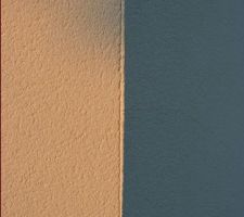 Decollement du crepis