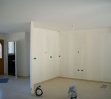 Les peintures des murs et des plafonds.