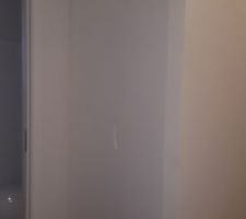 Placard linge de maison (couloir).