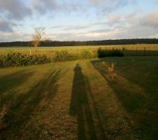 VU de terrasse de la fenêtre séjour.