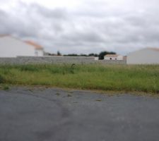 Et voil&agrave;, notre terrain, cette fois ci, devrait &ecirc;tre la bonne !