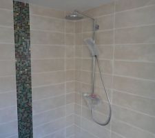 Mosaique coté douche de la salle de bains