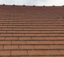 Creux sur la partie haute