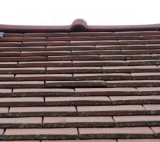 Tuile soulev&eacute;e